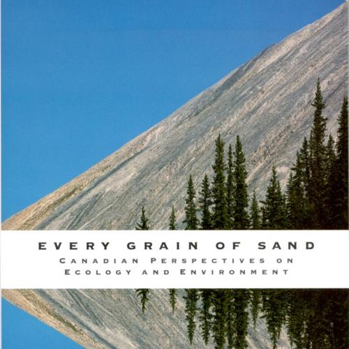 Every Grain of Sand