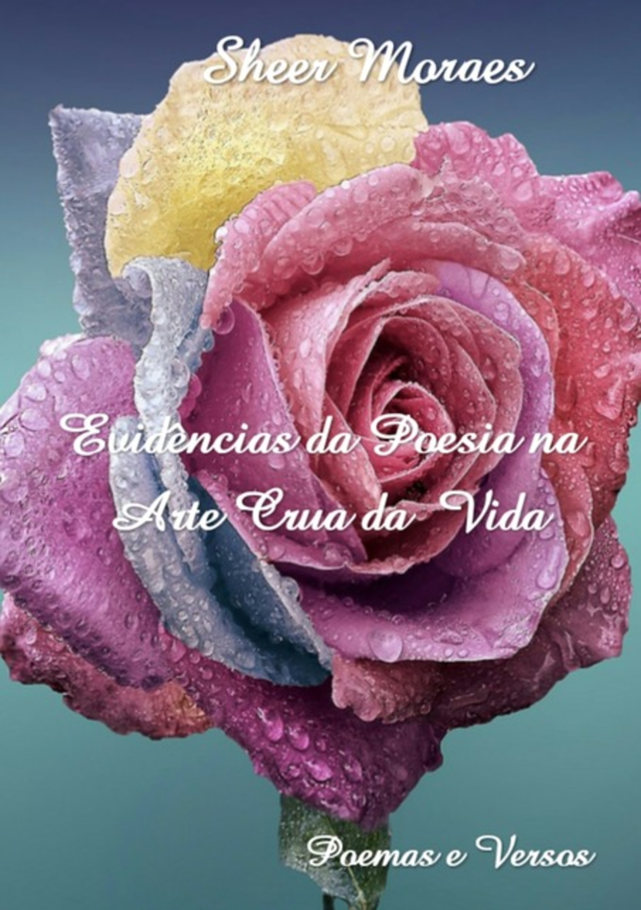 Evidências Da Poesia Na Arte Crua Da Vida