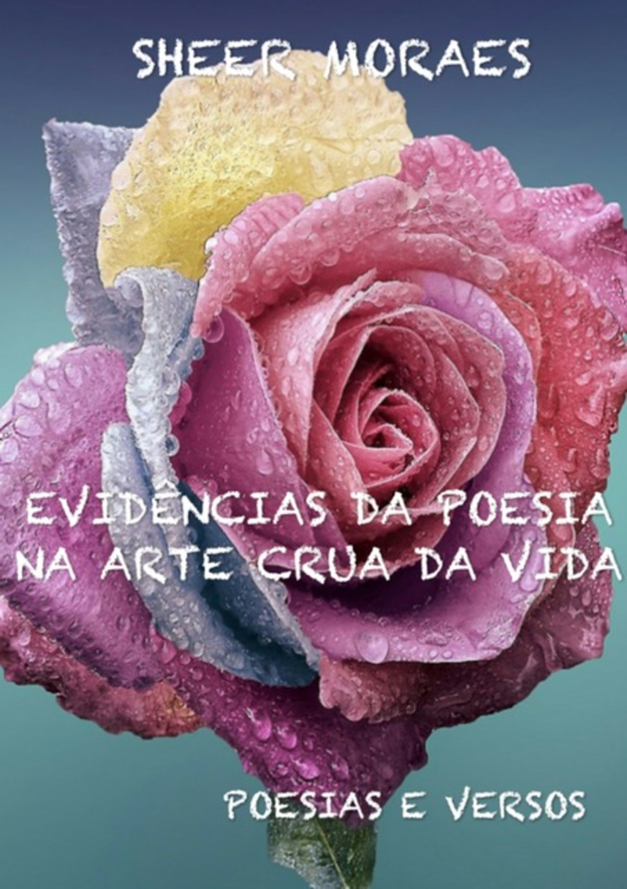 Evidências Da Poesia Na Arte Crua Da Vida