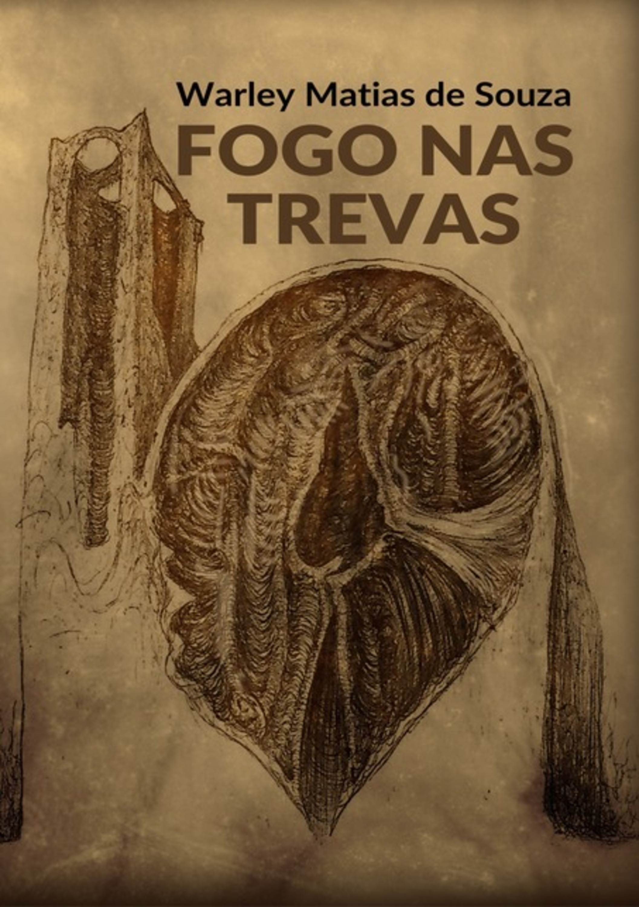 Fogo Nas Trevas