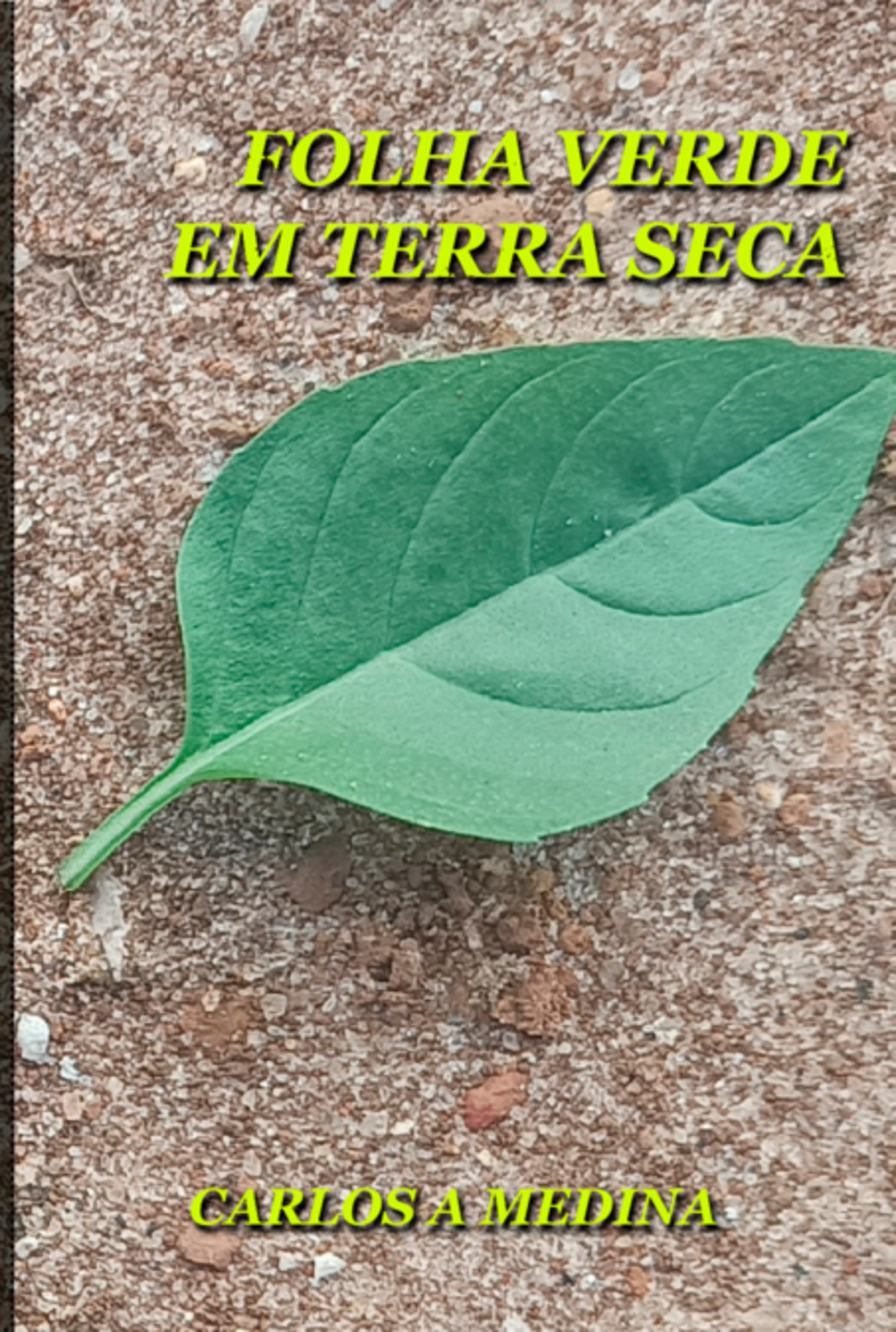 Folha Verde Em Terra Seca.