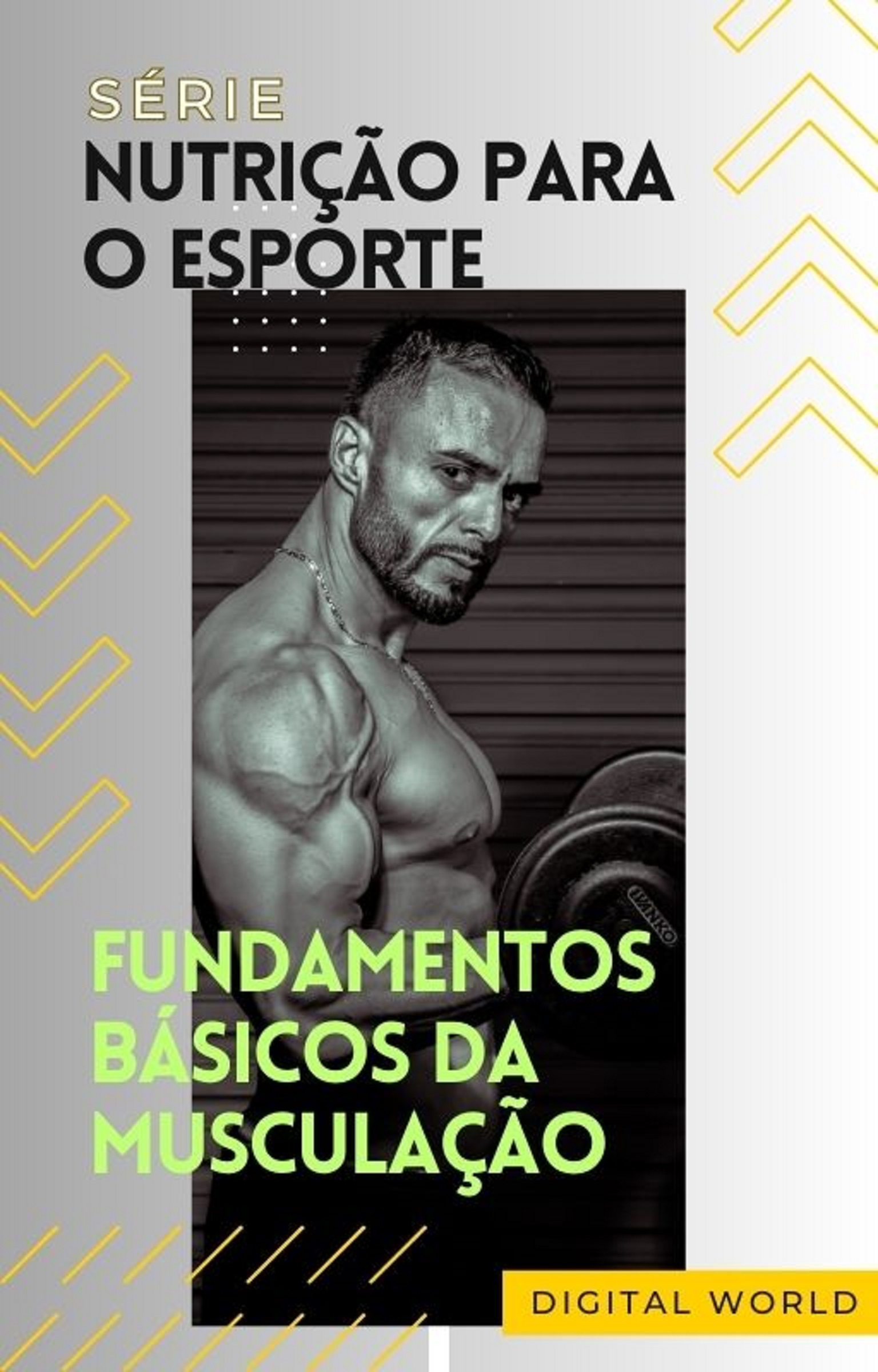 Fundamentos básicos da musculação