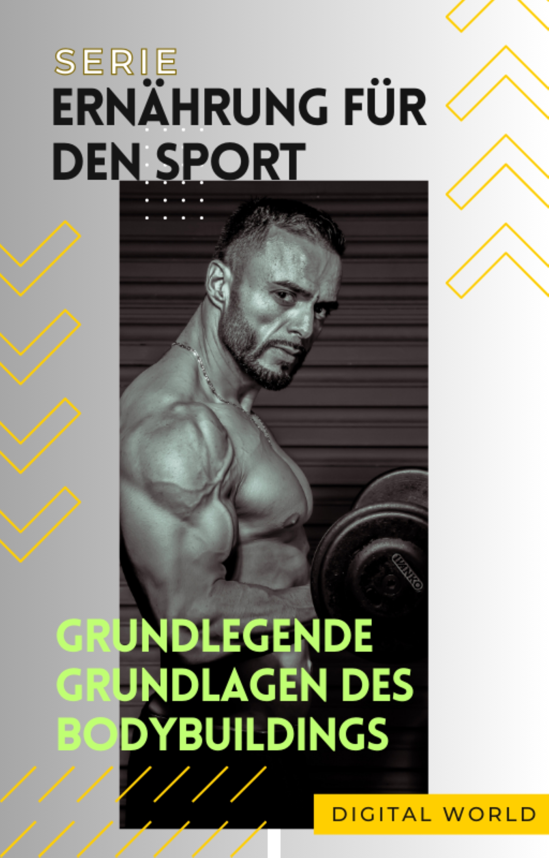 Grundlegende Grundlagen des Bodybuildings