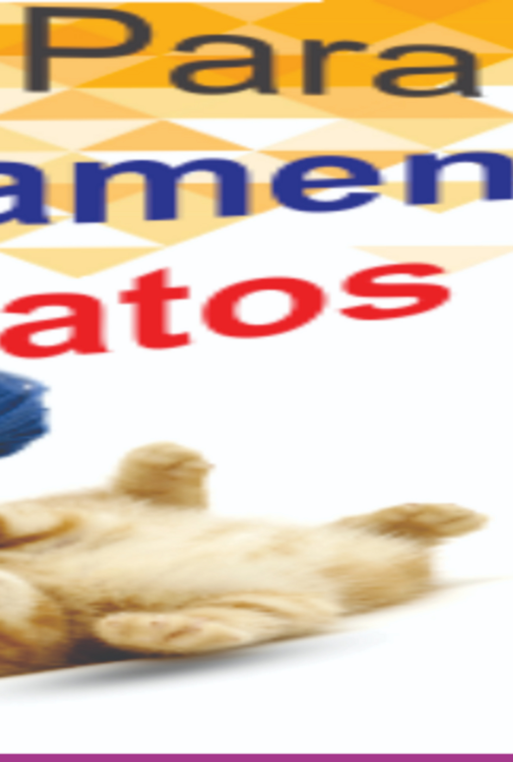 Guia De Adestramento Para Gatos