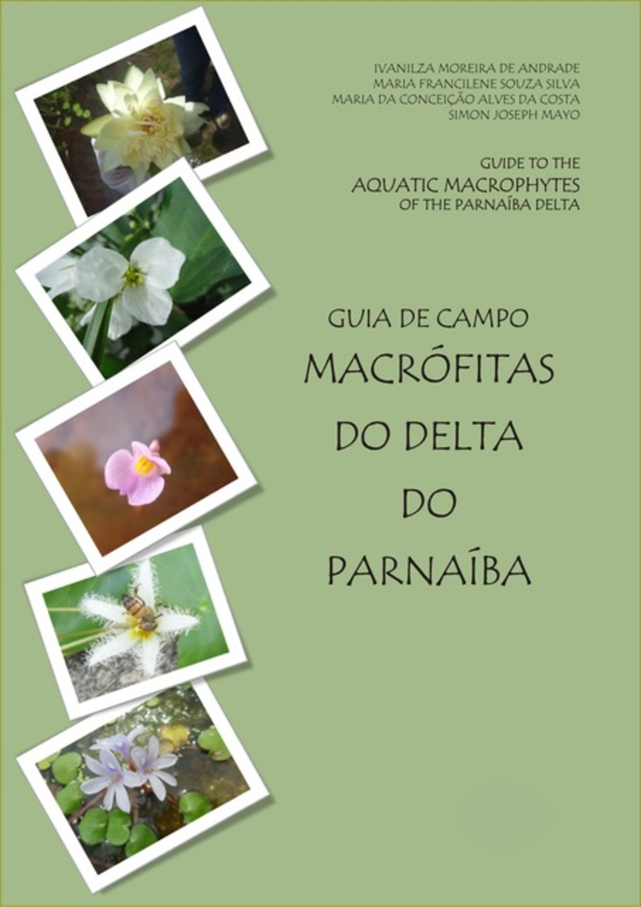 Guia De Campo Macrófitas Do Delta Do Parnaíba