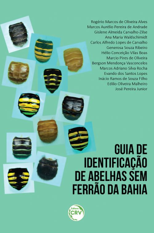 Guia de identificação de abelhas sem ferrão da Bahia