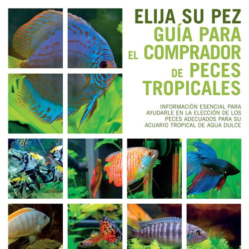 Guía para el comprador de peces tropicales