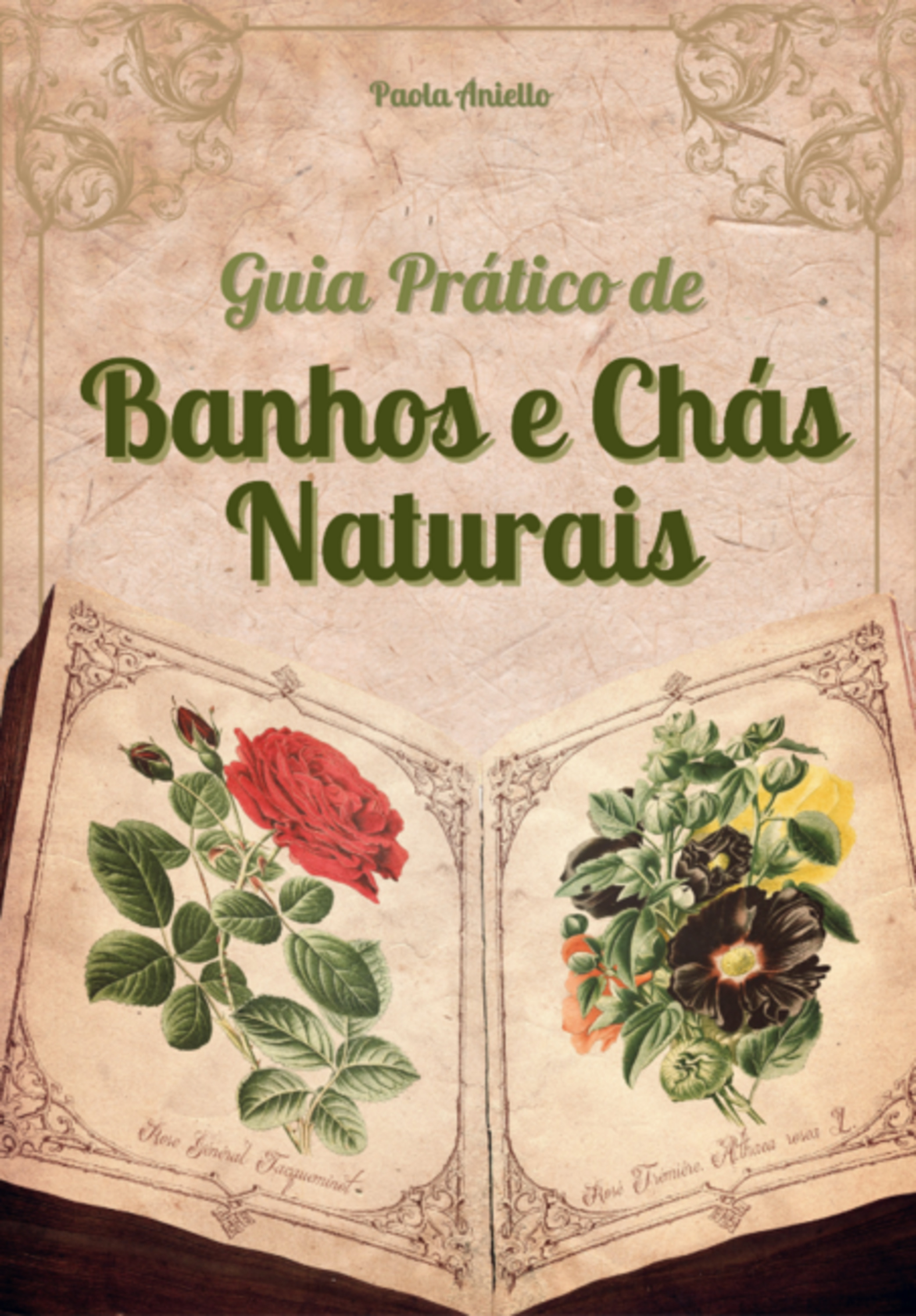 Guia Prático De Banhos E Chás Naturais