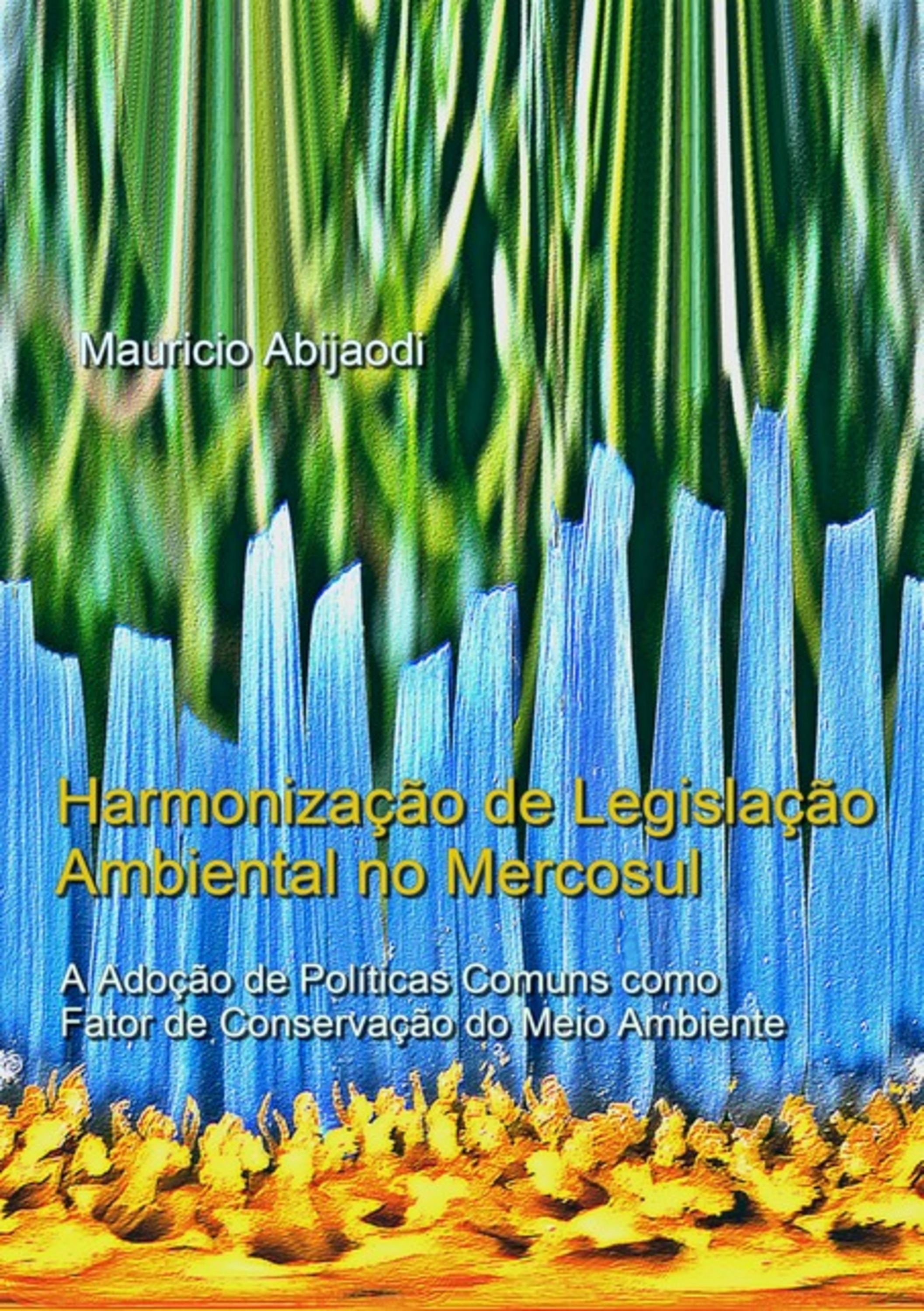 Harmonização De Legislação Ambiental No Mercosul