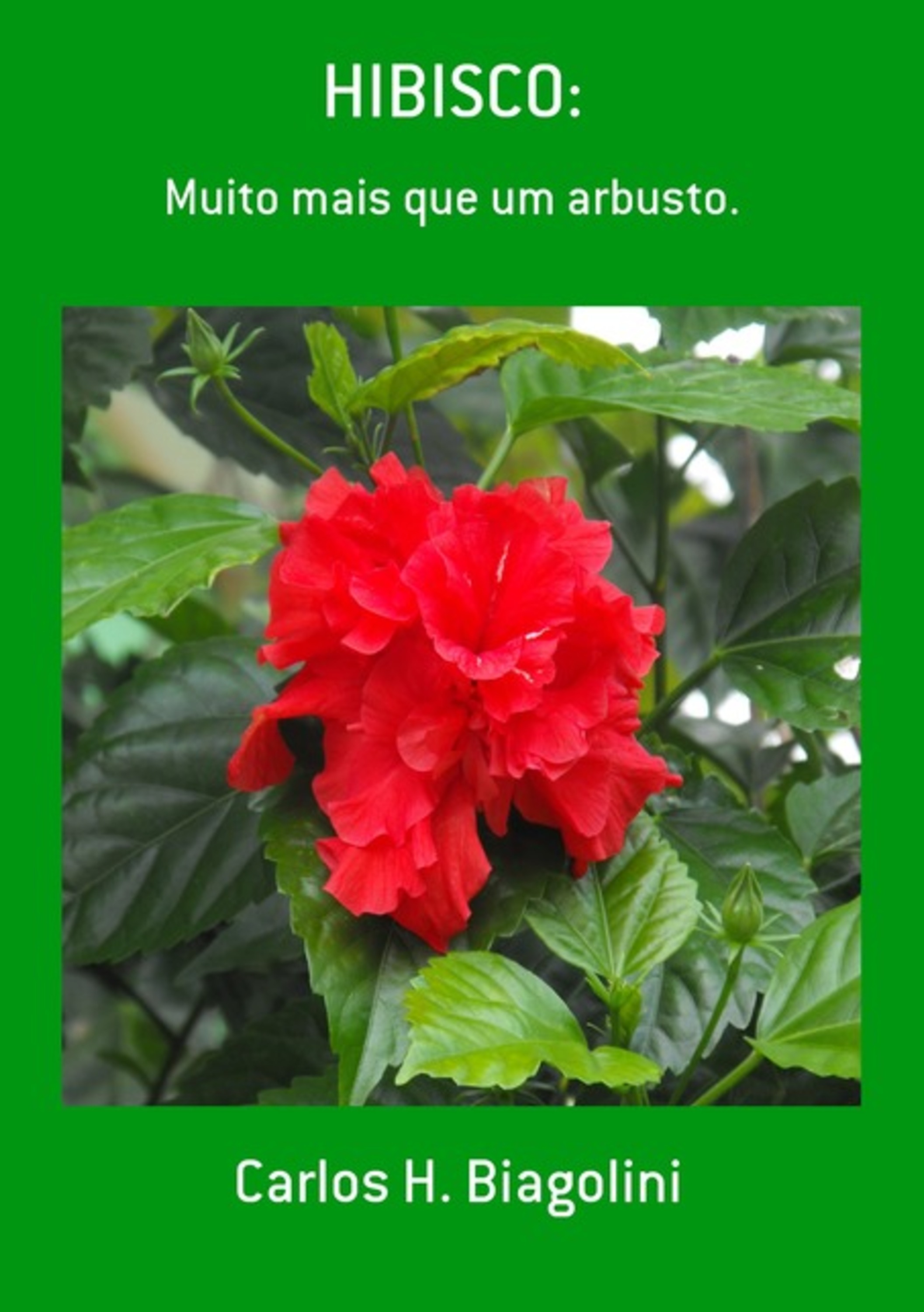 Hibisco: