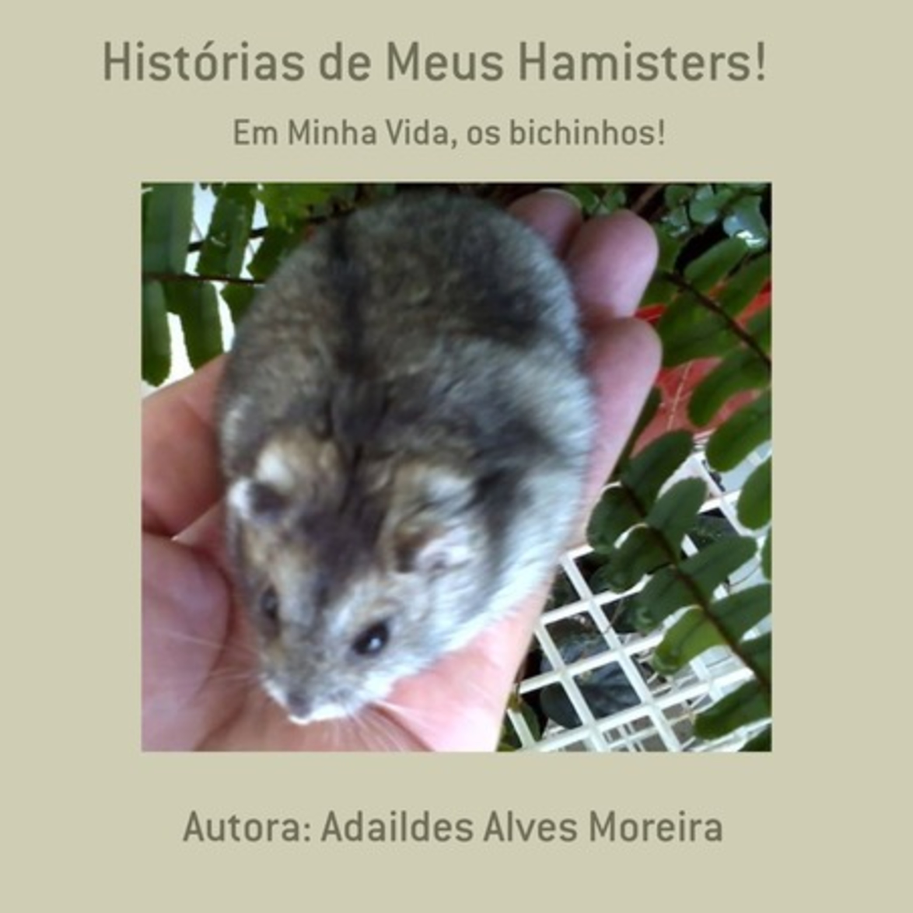 Histórias De Meus Hamisters!