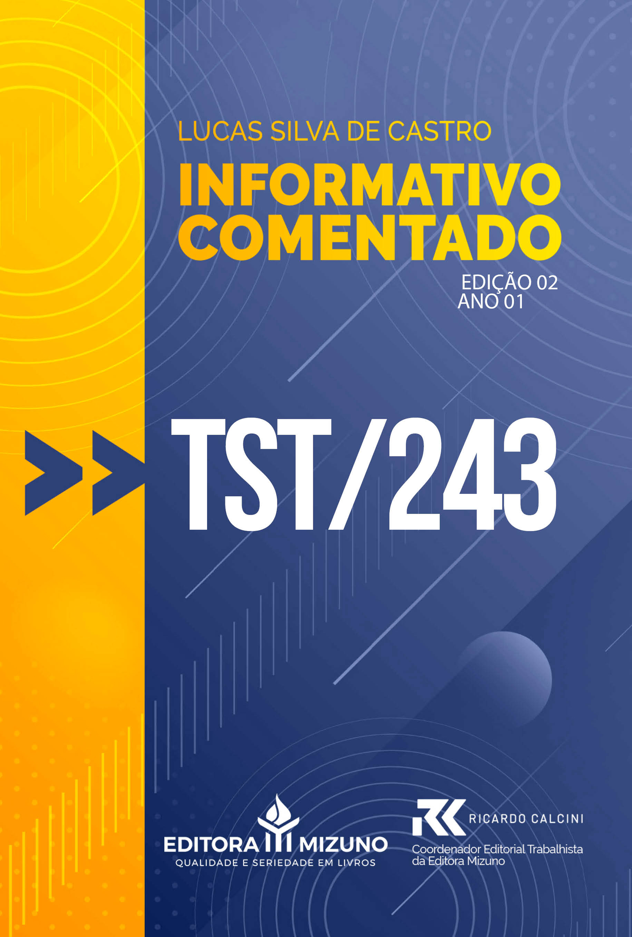 Informativo Comentado - TST 243