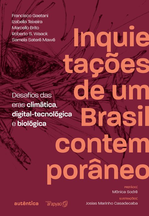 Inquietações de um Brasil contemporâneo