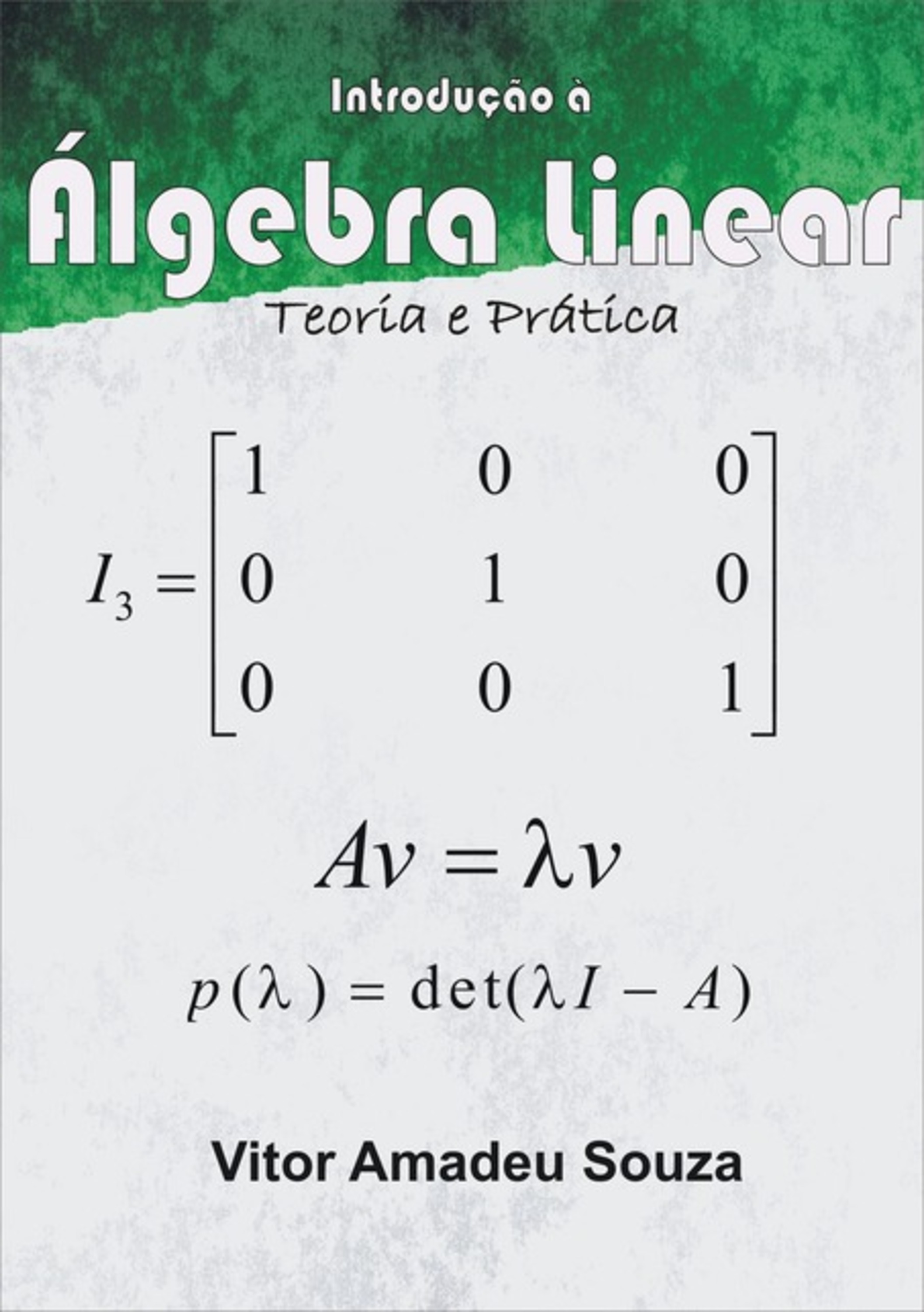 Introdução À Álgebra Linear