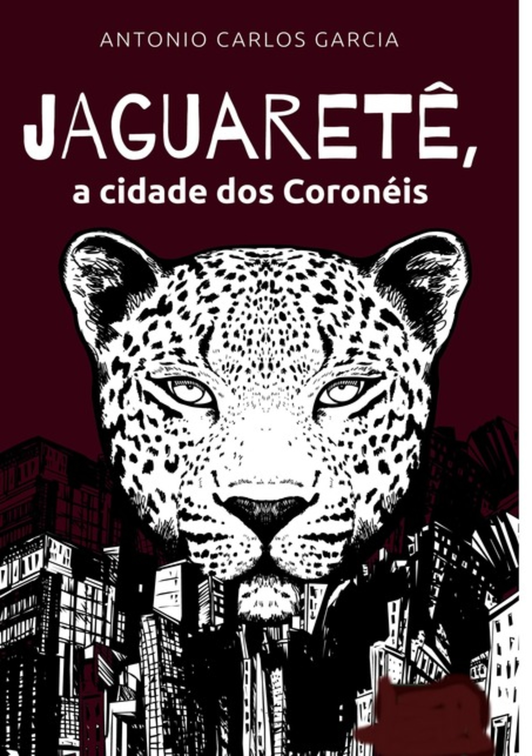 Jaguaretê: A Cidade Dos Coronéis