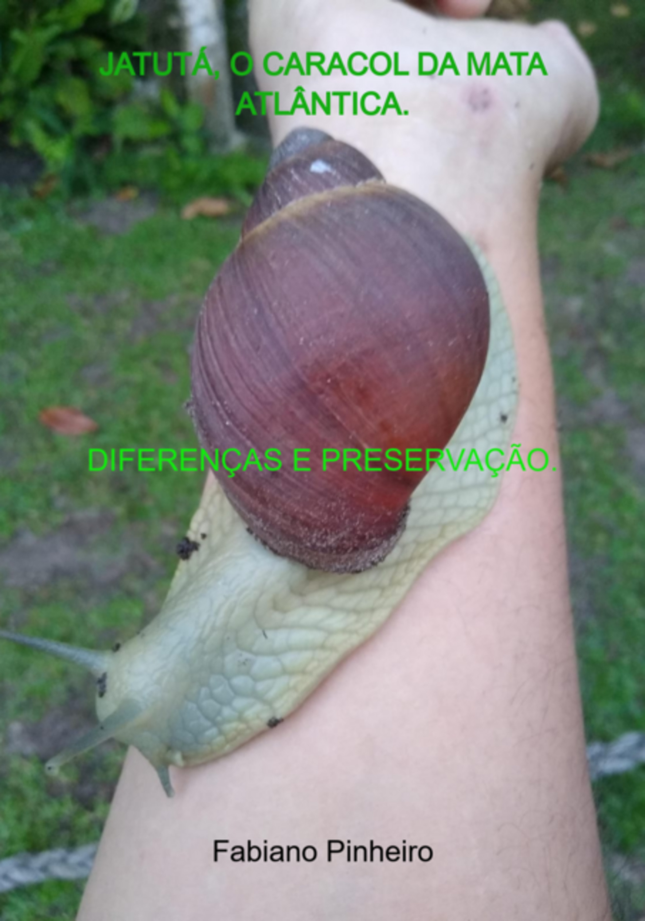 Jatutá, O Caracol Da Mata Atlântica.