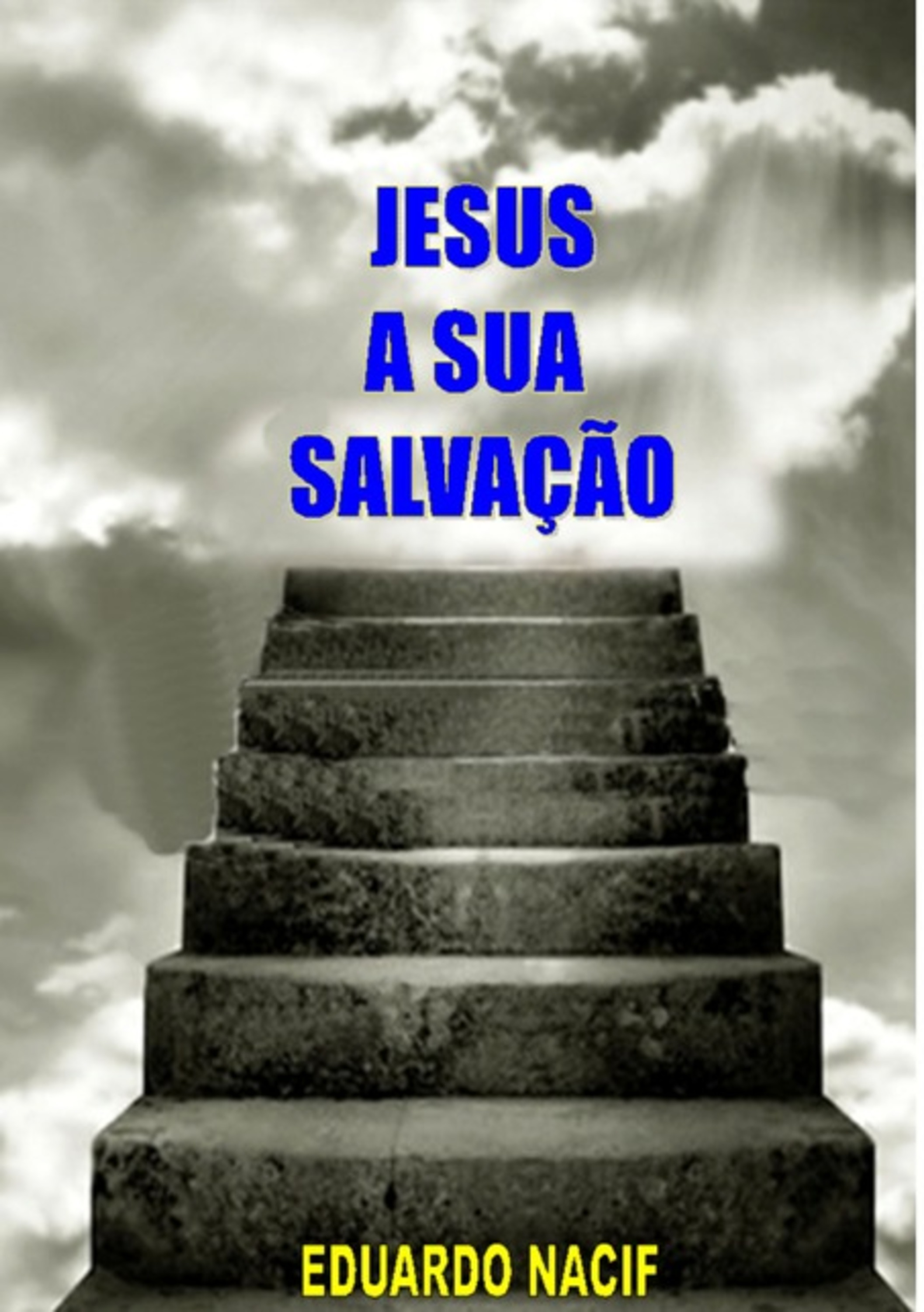 Jesus A Sua Salvação