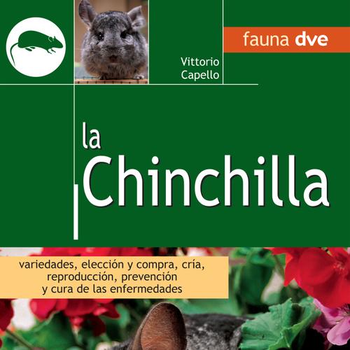 La Chinchilla