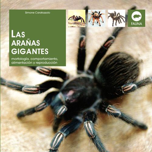 Las arañas gigantes