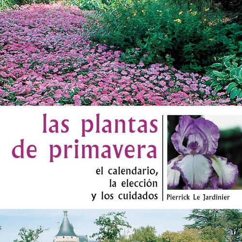 Las plantas de primavera. El calendario, la elección y los cuidados