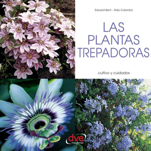 Las plantas trepadoras