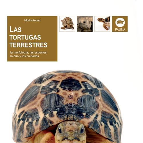 Las tortugas terrestres