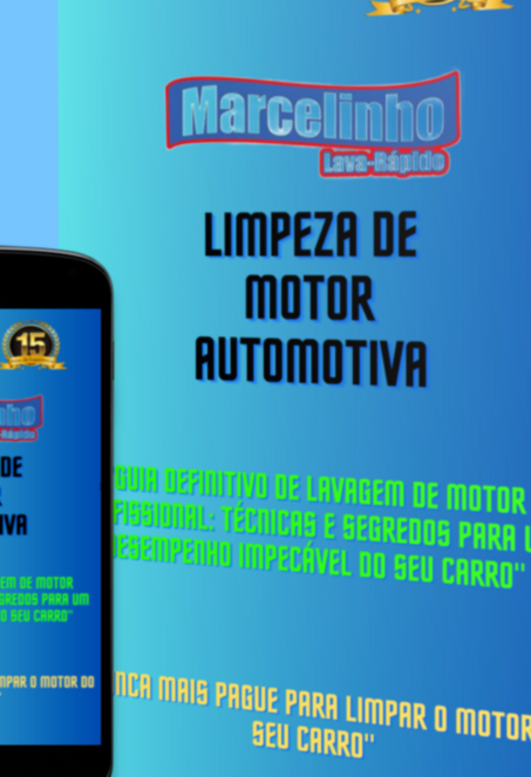 Lavagem De Motor Profissional