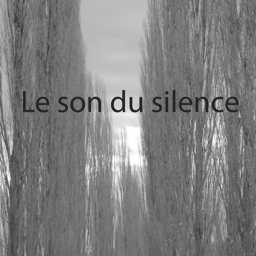 Le son du silence