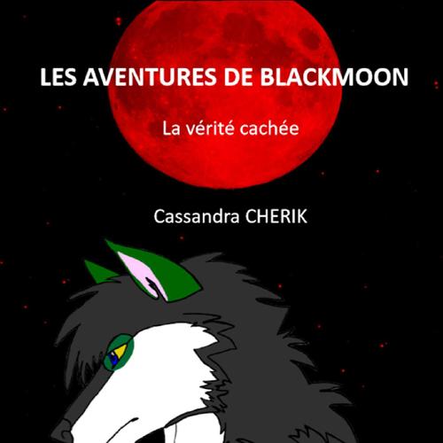 LES AVENTURES DE BLACKMOON LA VÉRITÉ CACHÉE