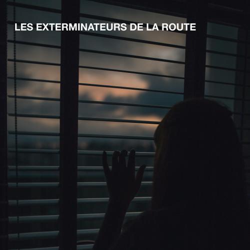 LES EXTERMINATEURS DE LA ROUTE