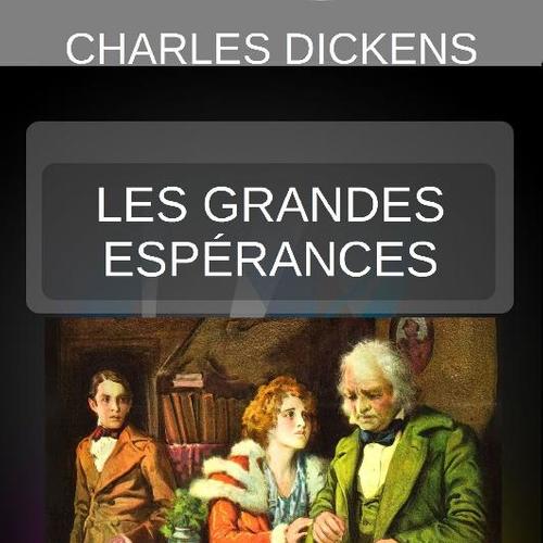 LES GRANDES ESPÉRANCES