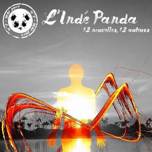 L'INDÉ PANDA N°3