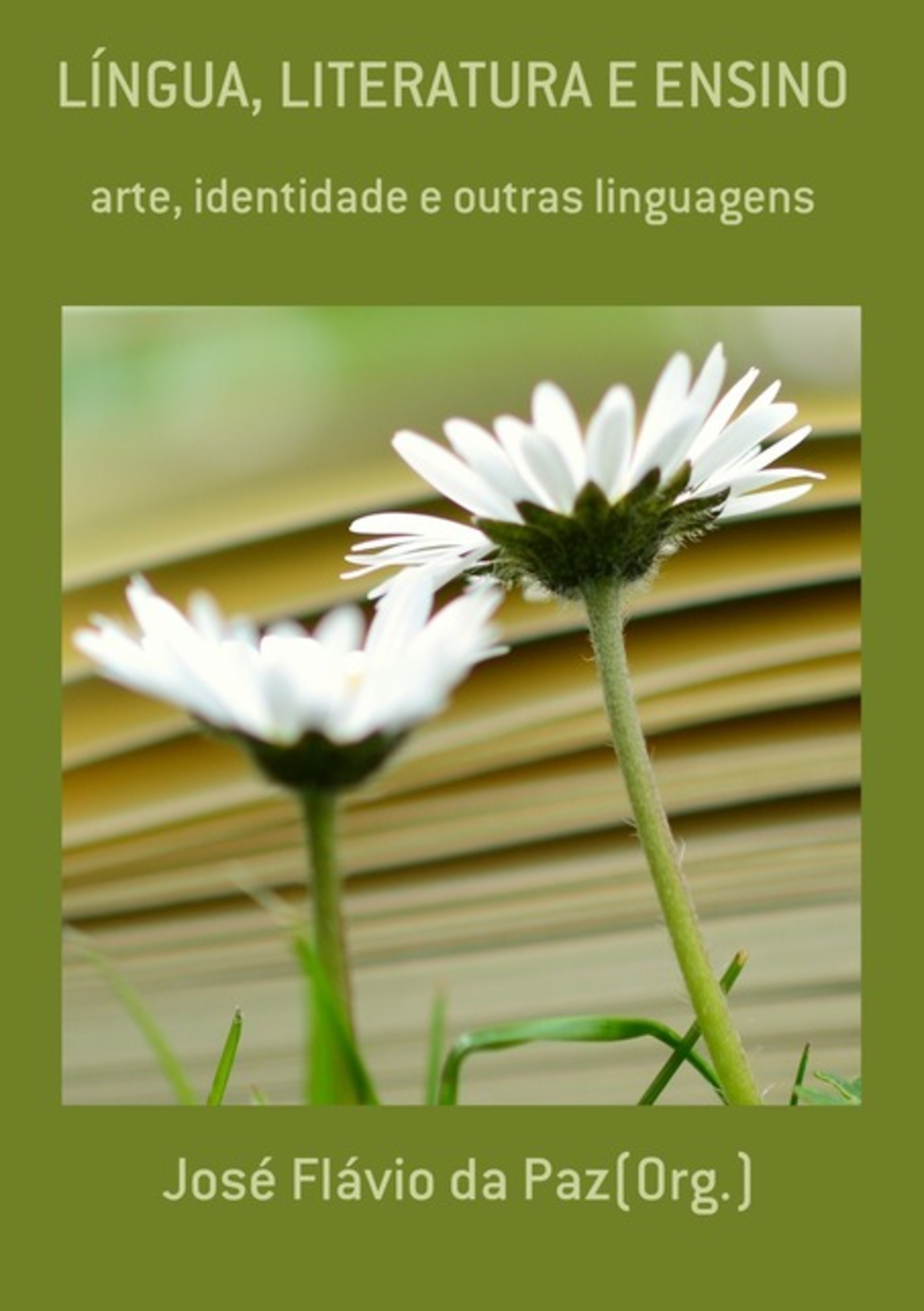 Língua, Literatura E Ensino