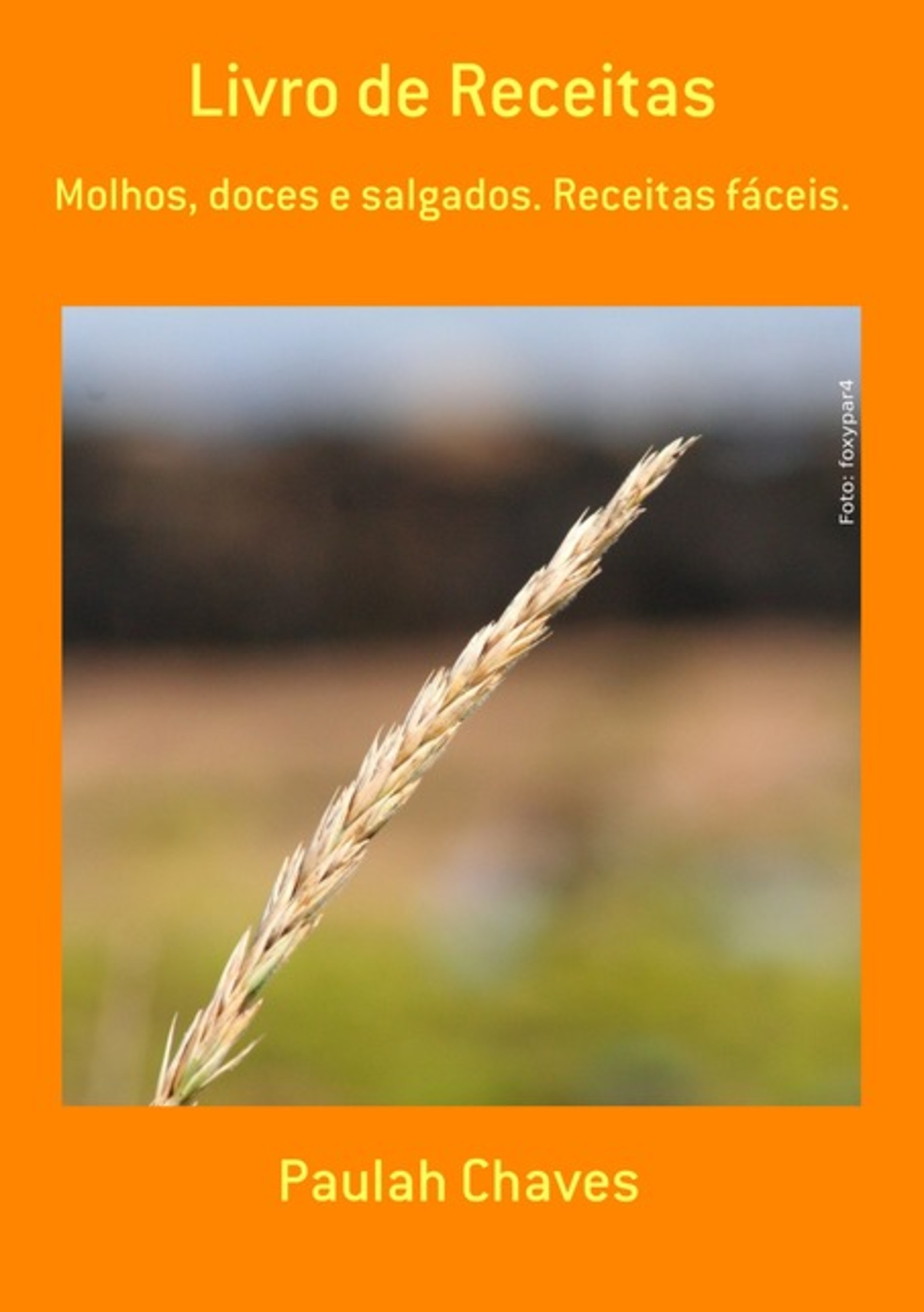 Livro De Receitas