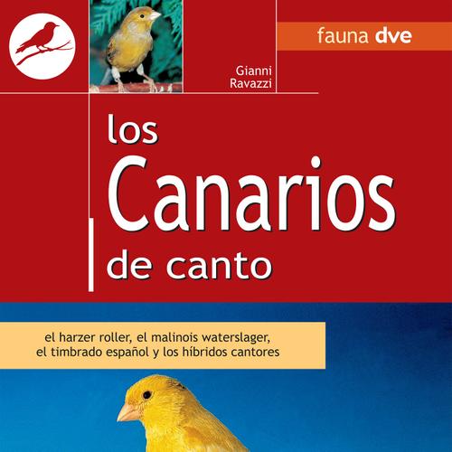 Los canarios de canto