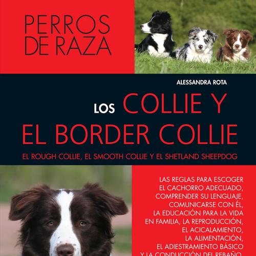 Los collie y el border collie