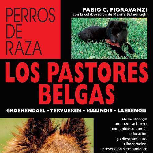 Los pastores belgas: Groenendael - Tervueren - Malinois - Laekenois