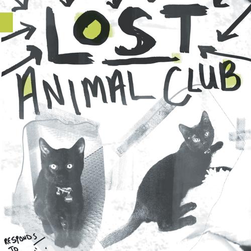 Lost Animal Club