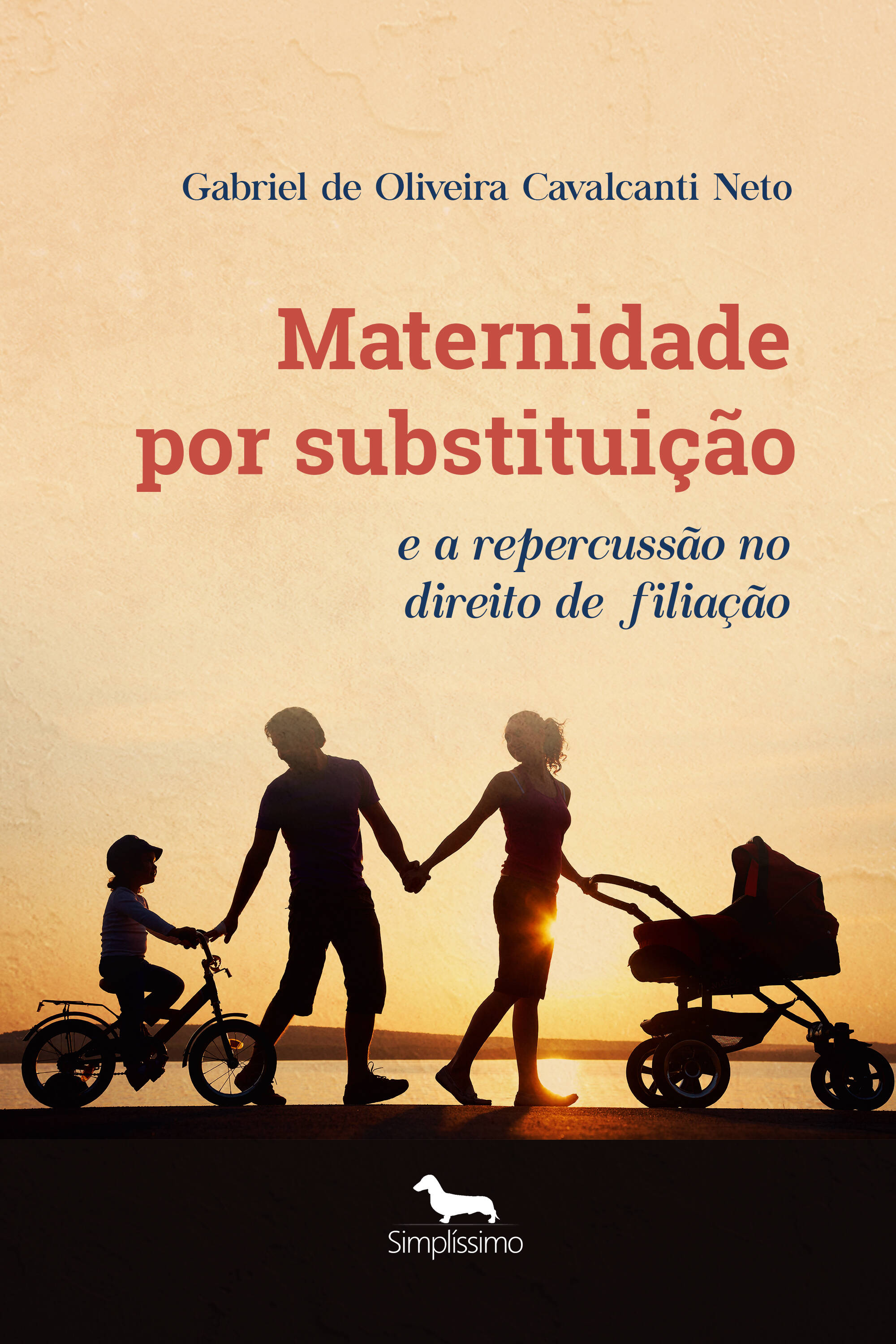 MATERNIDADE POR SUBSTITUIÇÃO E A REPERCUSSÃO NO DIREITO DE FILIAÇÃO