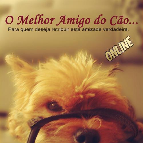 Melhor Amigo do Cão