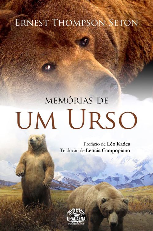 Memórias De Um Urso