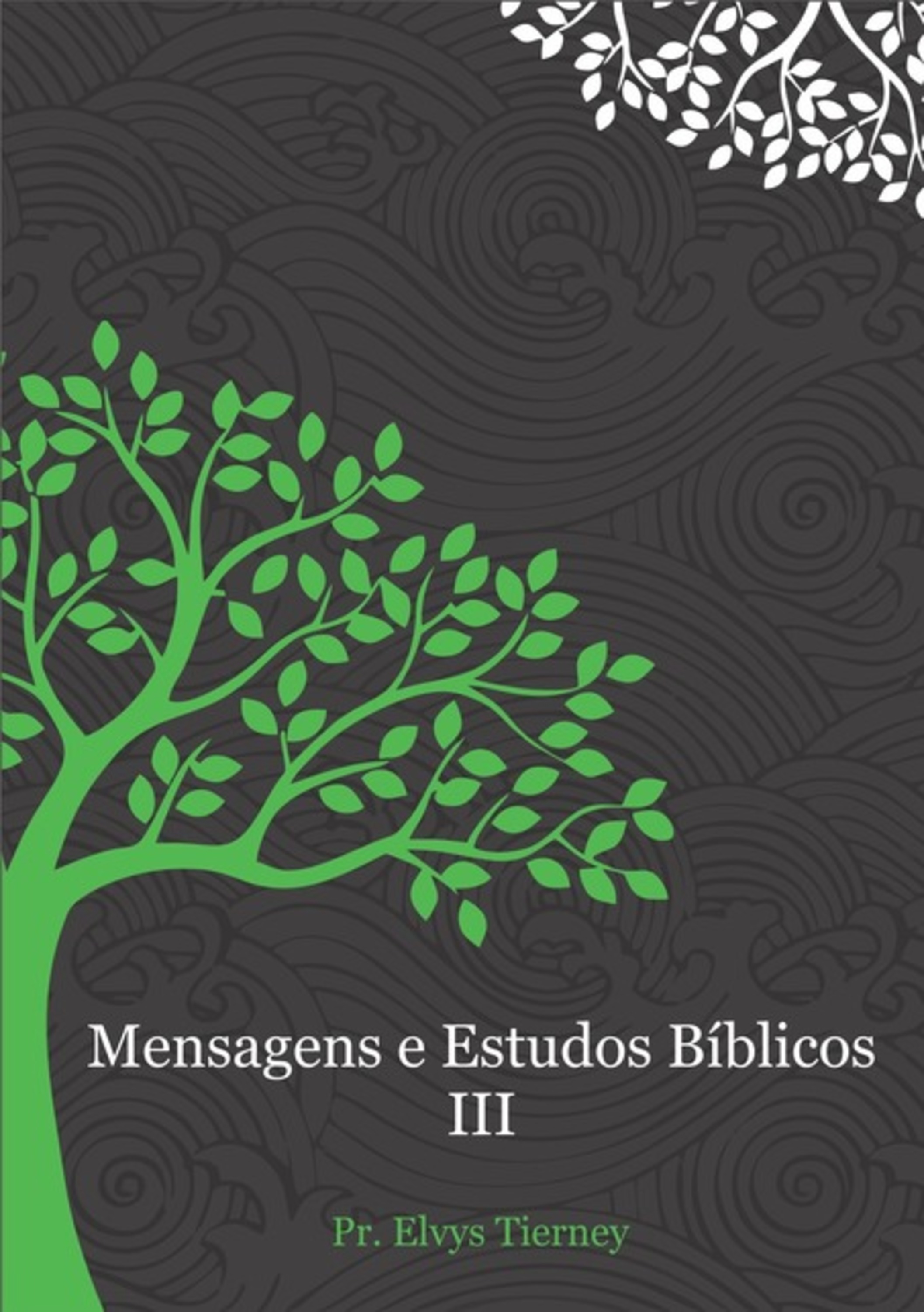 Mensagens E Estudos Bíblicos Iii