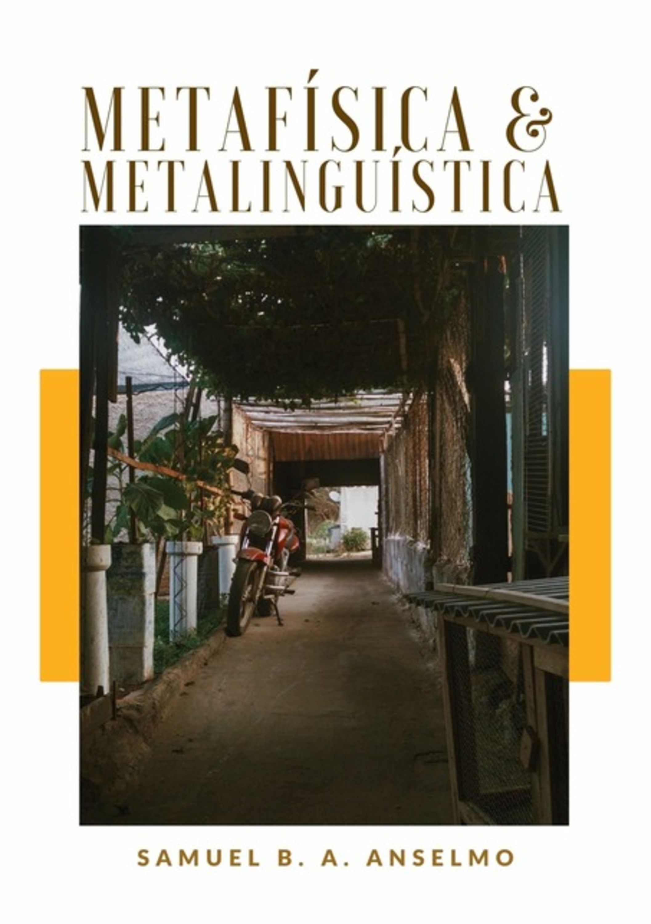 Metafísica E Metalinguística