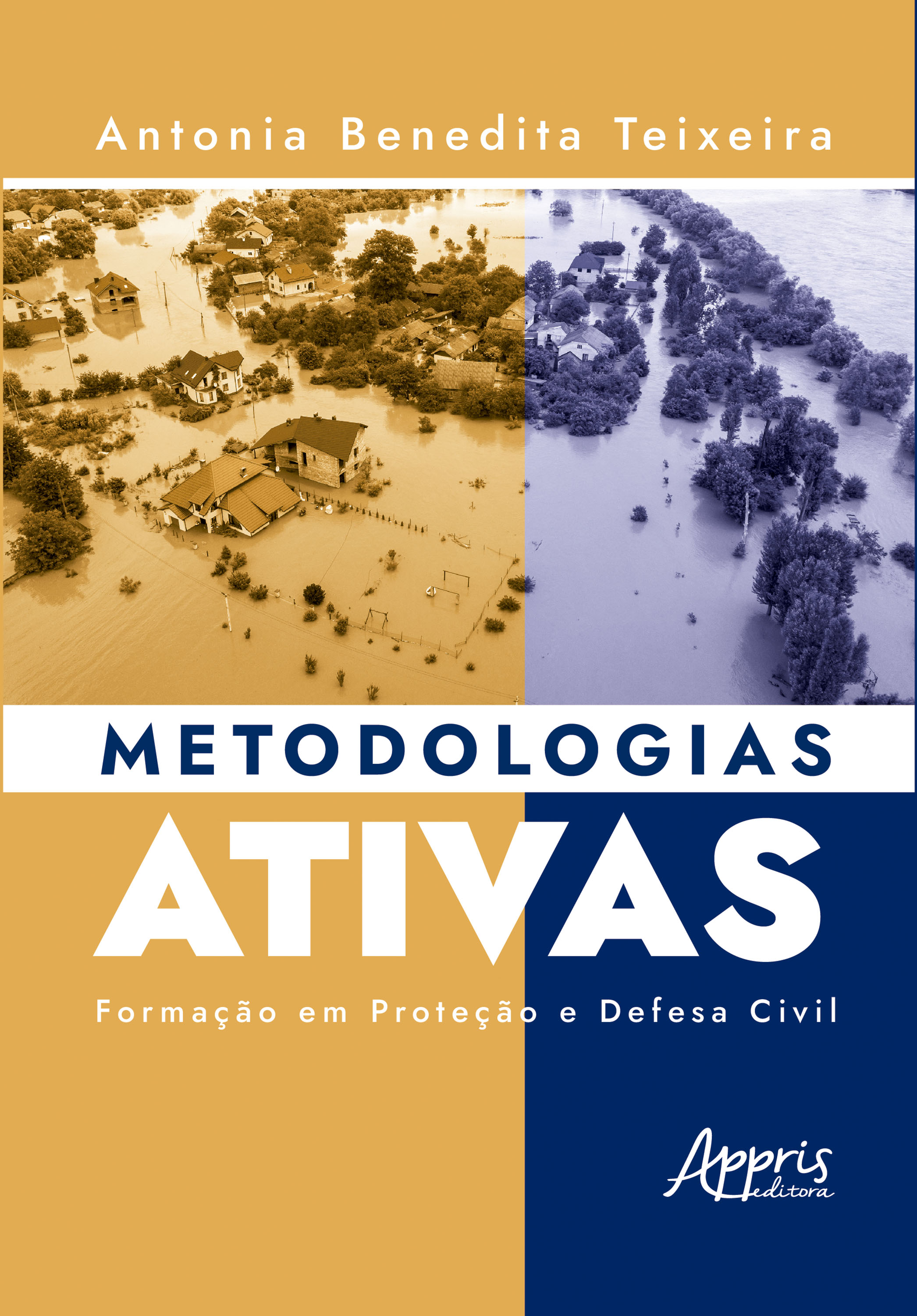 Metodologias Ativas: Formação em Proteção e Defesa Civil