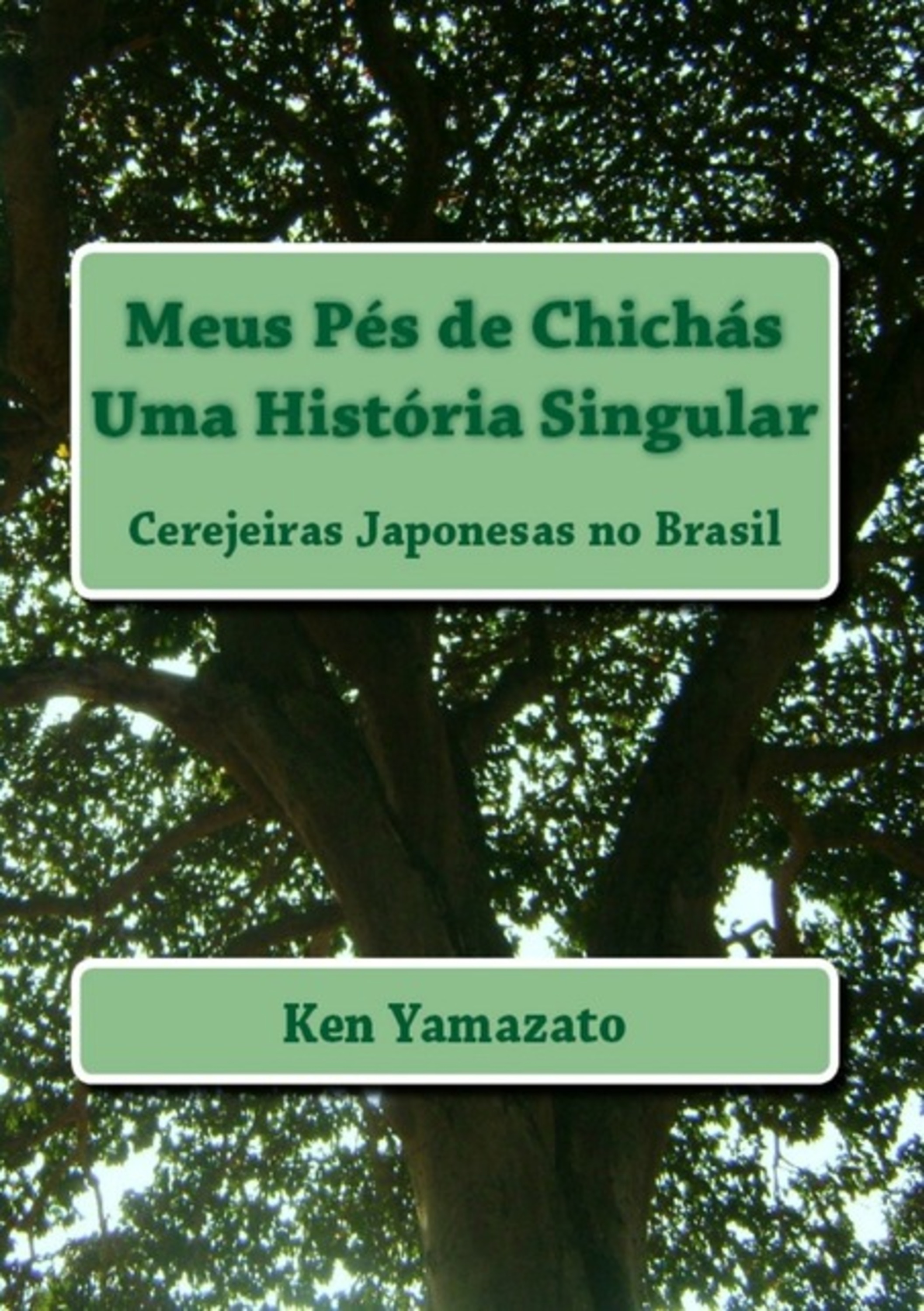 Meus Pés De Chichás - Uma História Singular