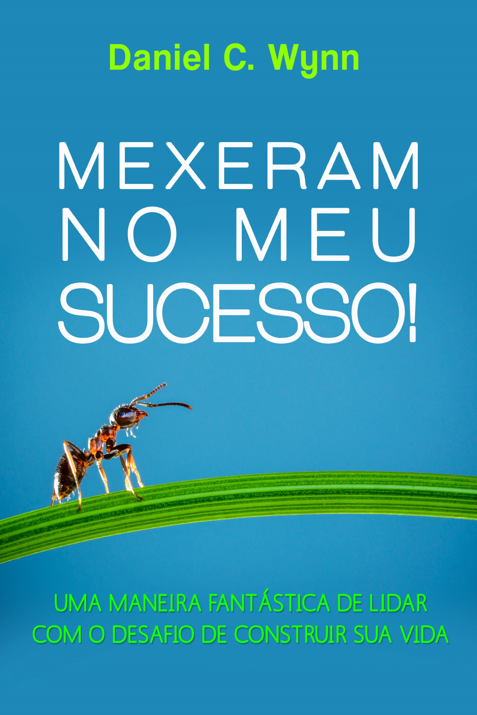 Mexeram no meu Sucesso!