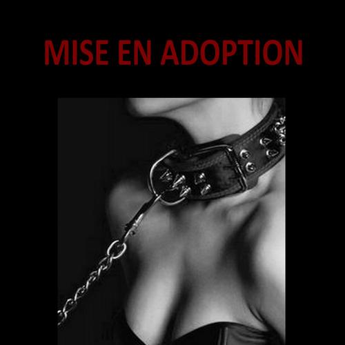 Mise en adoption