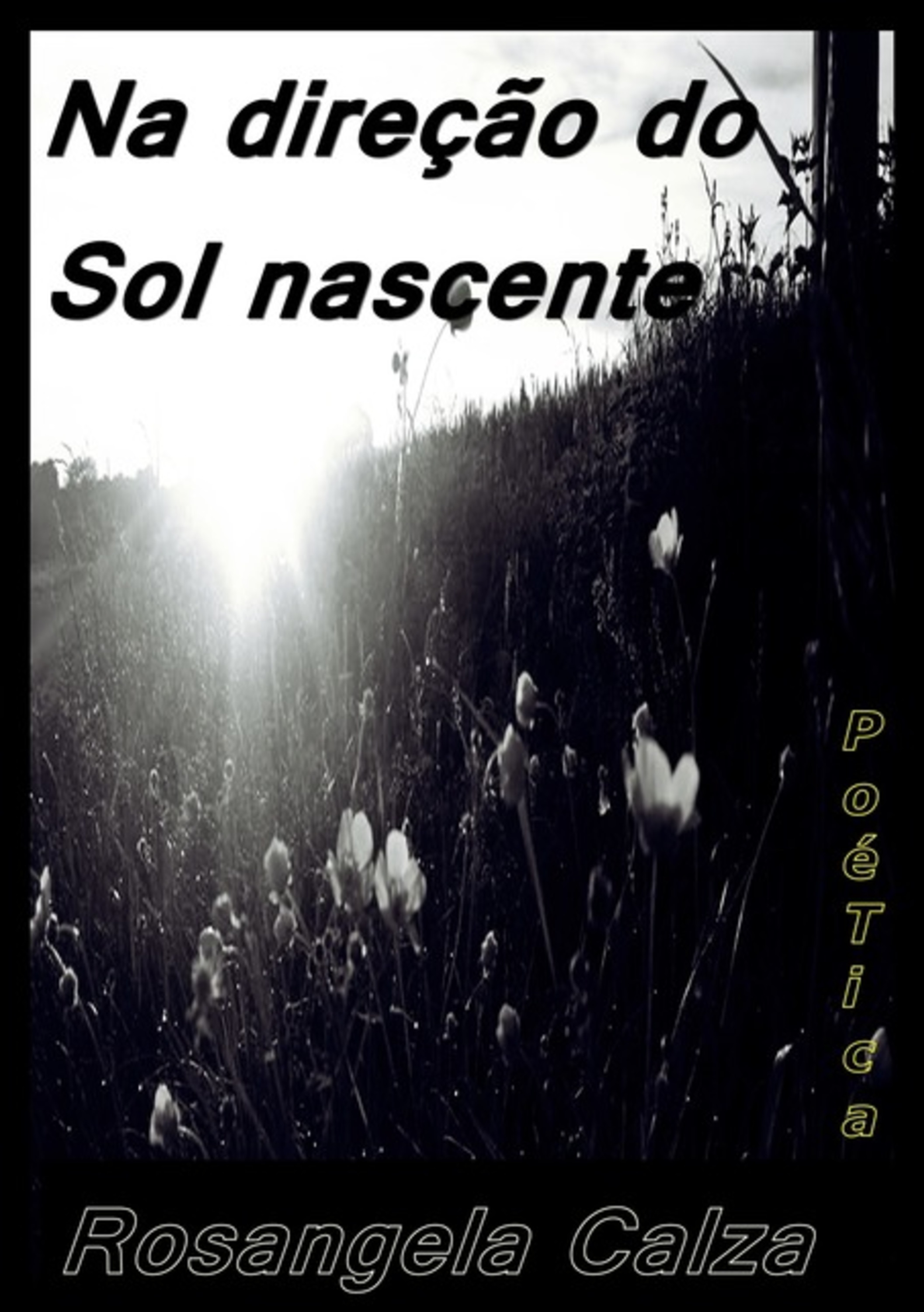 Na Direção Do Sol Nascente