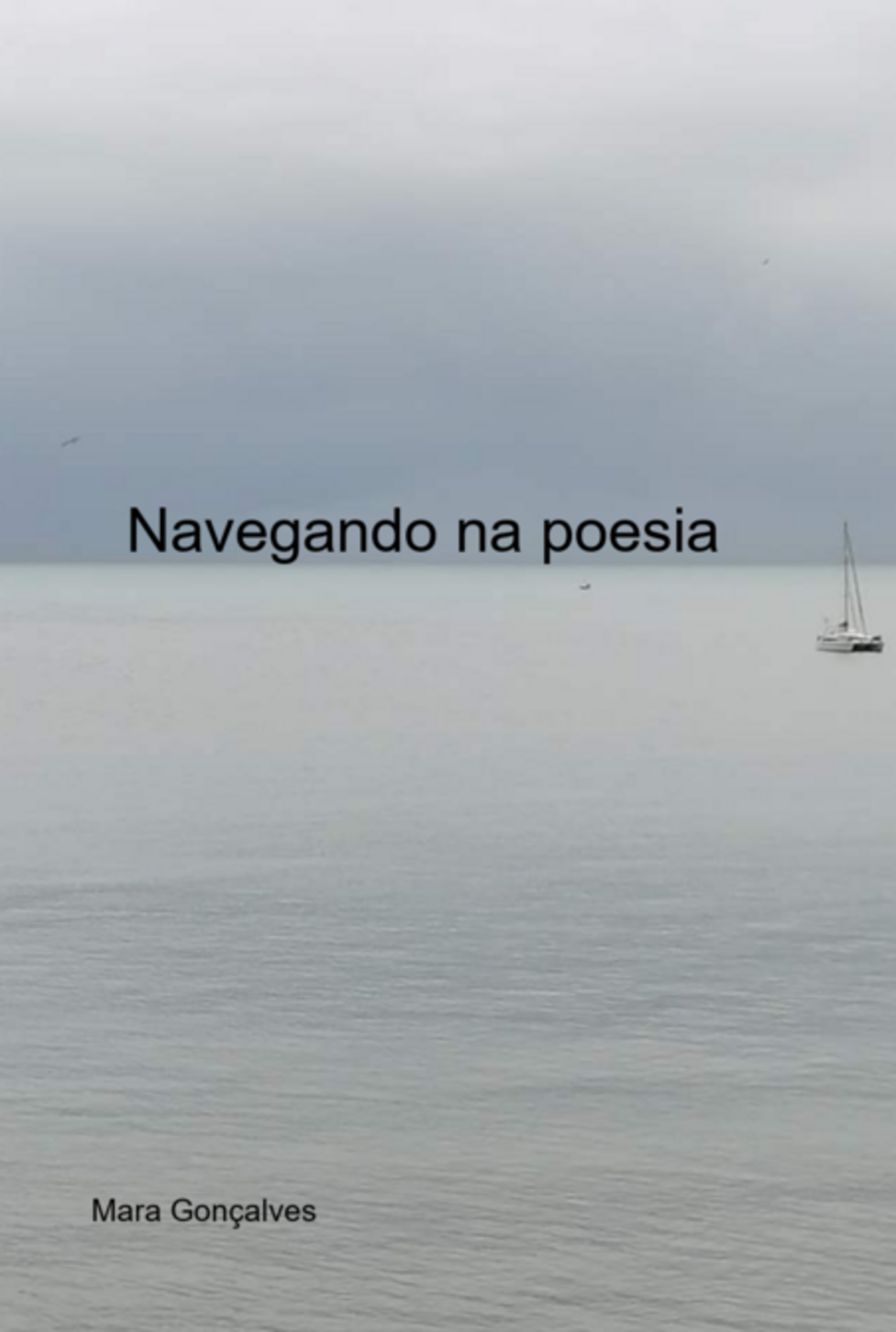 Navegando Na Poesia