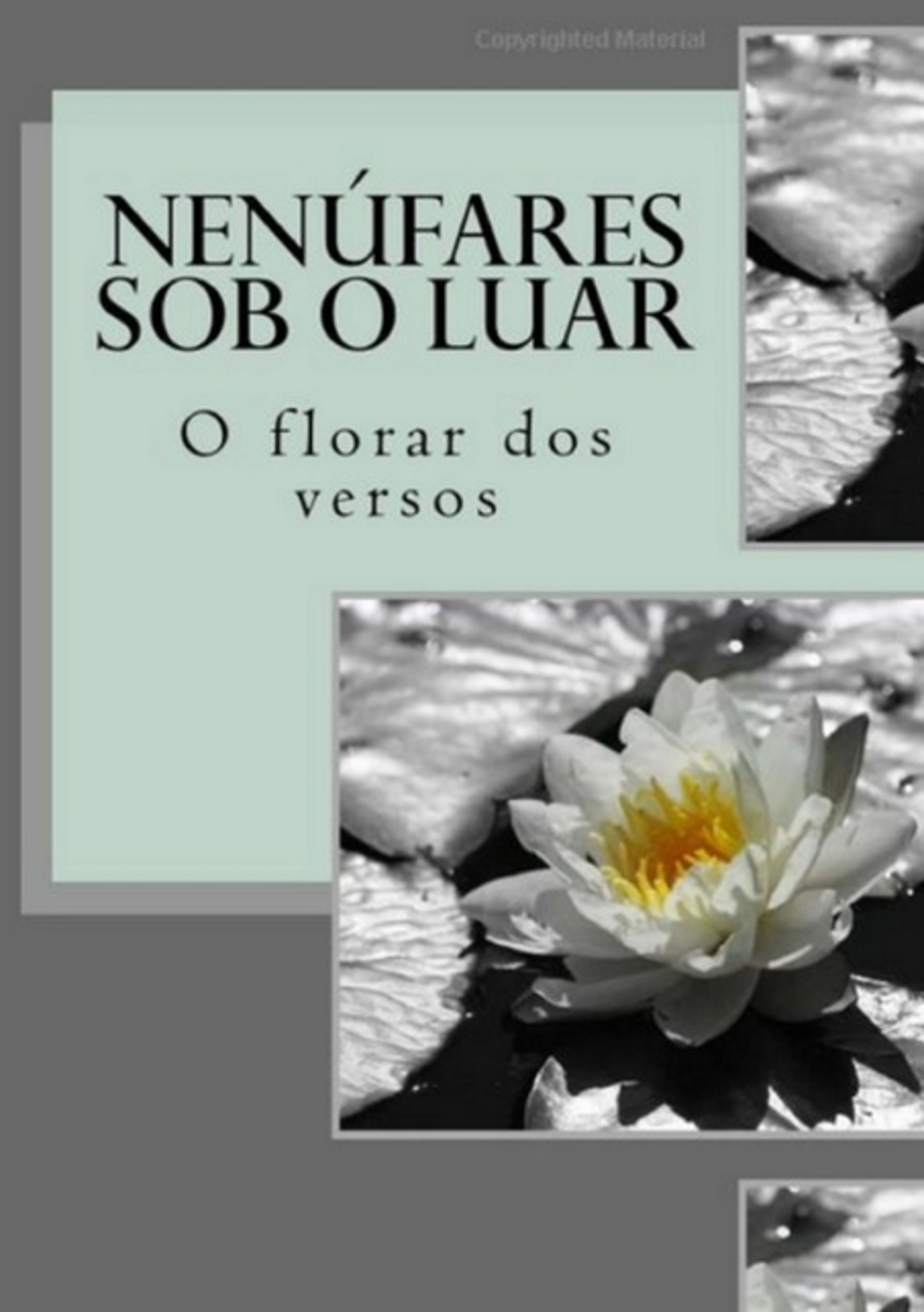 Nenúfares Sob O Luar